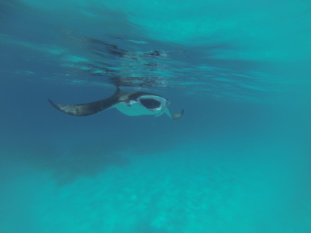 Athiri Inn Ukulhas Kültér fotó