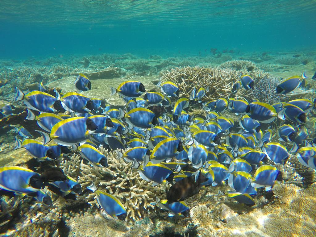 Athiri Inn Ukulhas Kültér fotó